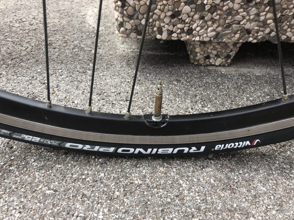 Vittoria Rubino Pro