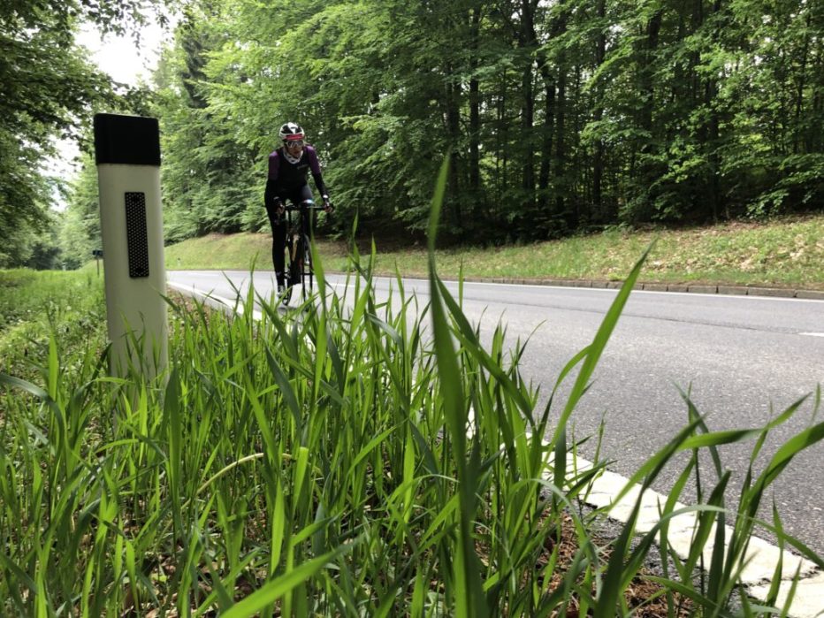 Rennradfahren im Südburgenland